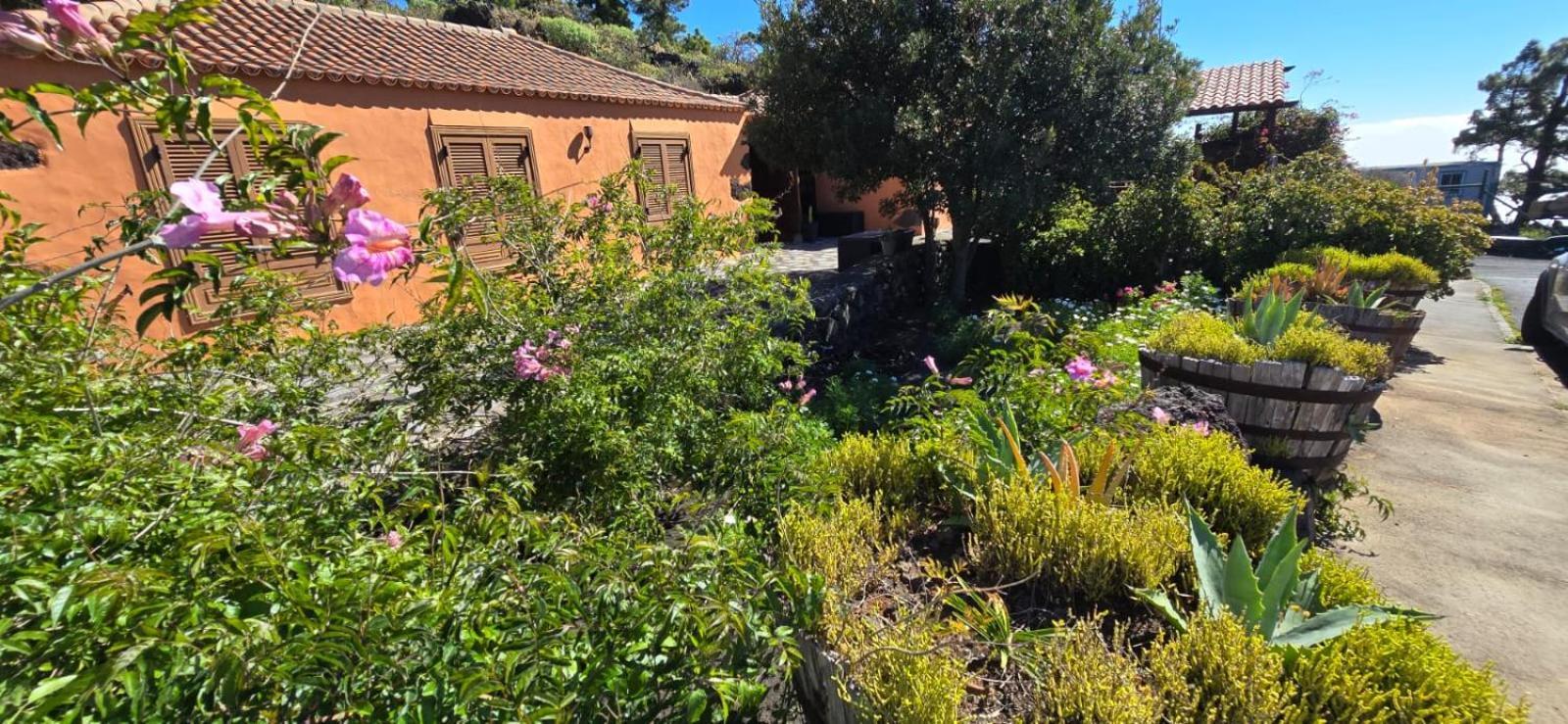 Vivienda Vacacional El Lagar, Bodega A Fuencaliente de la Palma Exterior foto